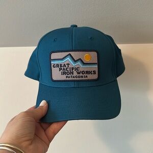 Patagonia trucker hat